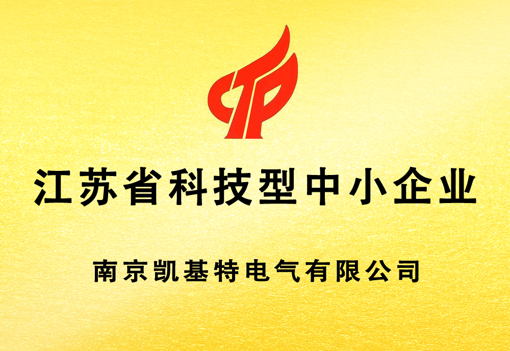 科技型中小企業(yè)