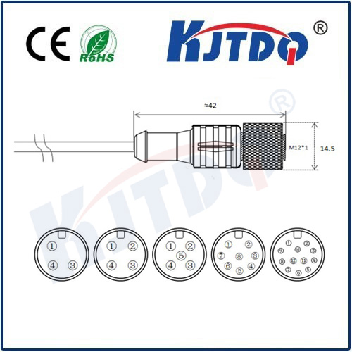 M12连接器 A型-浇铸电缆系列 直头