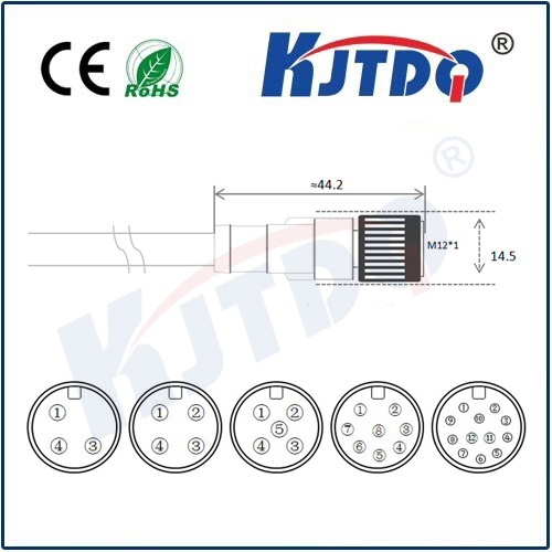 M12连接器 A型-浇铸电缆系列 直头